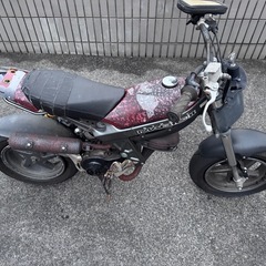 ストリートマジック 
不動車の画像