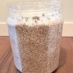 菌糸ボトル　月夜野きのこ園　basicの画像