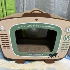 可愛い猫の爪研ぎの画像