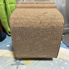 可愛い猫の爪研ぎの画像