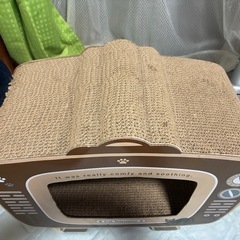 可愛い猫の爪研ぎの画像