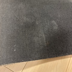 玄関マットの画像
