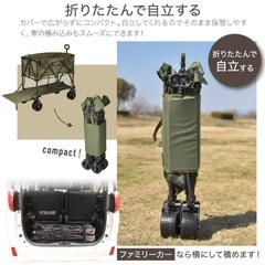 ほぼ新品　キャリーワゴン　2段式キャリーワゴンの画像