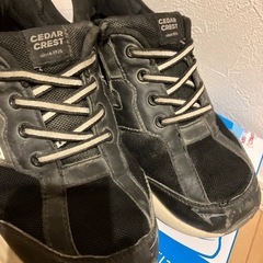 スパットシューズ　21センチの画像
