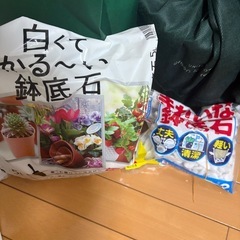 モンステラ🪴観葉植物の画像