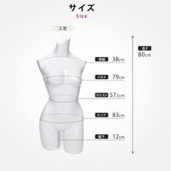 卓上トルソーマネキンの画像