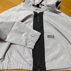 大きいサイズ レディースの画像