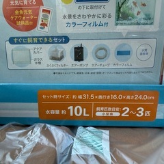 金魚　水槽セット　10L 砂付きの画像