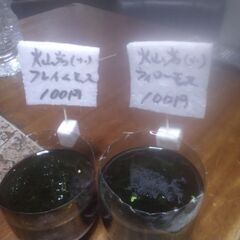 ボトル入り水草色々本日販売分を追加品出ししました。の画像