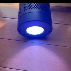 サンゴ のライトの画像