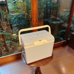クーラーボックス 2点セット　ダイワ クールライン22L、コメリクーラーボックス13.5リットルの画像