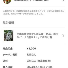 【取引中】バナナ（苗）の画像