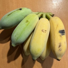【取引中】バナナ（苗）の画像