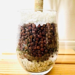 コルジリネ　コーディライン　ゴールデンストライプ　観葉植物　ハイドロカルチャーの画像