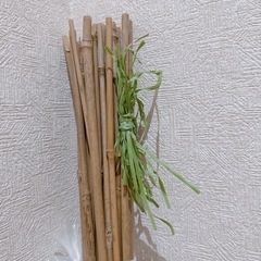 支柱の画像