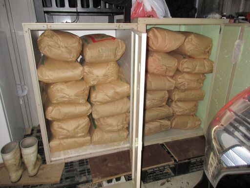 県内最安値　令和７年産　茨城県　コシヒカリ　新米　玄米　30ｋｇ　ブレンドなし　１袋　17000円