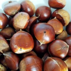 中サイズ生栗 　400g+400gの画像