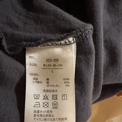 Ｔシャツの画像