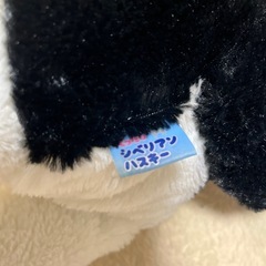 可愛い　犬のぬいぐるみの画像