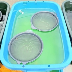 【メダカの寄り道】現在は通常販売となっております！の画像