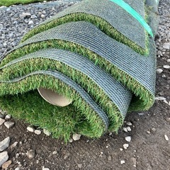 人工芝(ペンタゴン)の画像