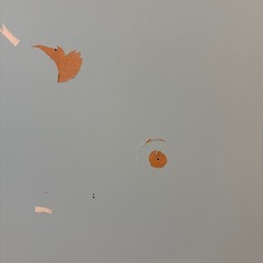 木材　平板の画像