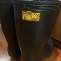 静電安全靴の画像