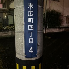 メダカ販売の画像