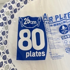 　ペーパープレート 紙皿 デザイン入り  電子レンジOK 使い捨て食器　26cm×80枚 U66-59942の画像