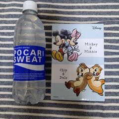 ディズニーデザイン アートオリジナルポケットボトル(水筒)の画像