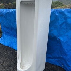 TOTO 床置小便器　取り外し品の画像