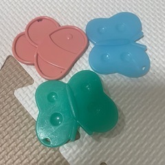 プーメリーの画像