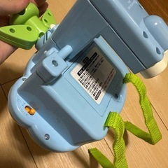 プーメリーの画像