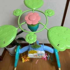 プーメリーの画像