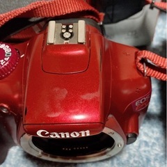 EOS kiss x50  レンズセット
の画像