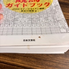 究極の競馬がいどぶガイドブックの画像