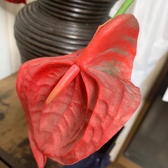 置物の画像