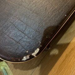 大正琴蘭アルト
の画像