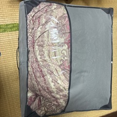 羽毛2層掛け布団(収納袋入り)の画像