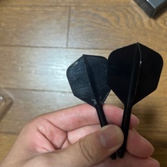 ダーツ  ､フライト、
チップの画像