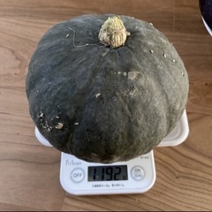 早い物勝ち　無農薬　野菜詰め合わせの画像