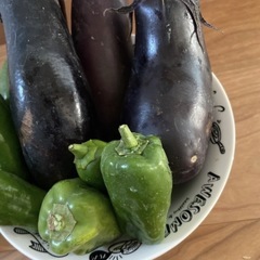 早い物勝ち　無農薬　野菜詰め合わせの画像