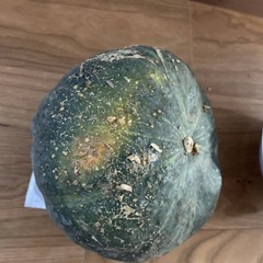 早い物勝ち　無農薬　野菜詰め合わせの画像