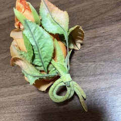 コサージュの画像