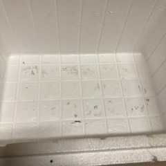 発泡スチロールの画像