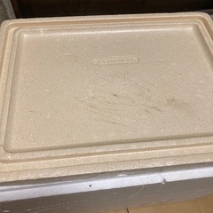 発泡スチロールの画像