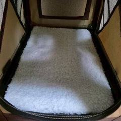 美品の小型犬 猫 他　キャリーバック　使用回数少ないの画像