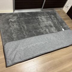 ホットカーペット  カーペットの画像