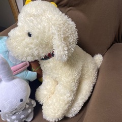ちょっと大きめのぬいぐるみセットの画像