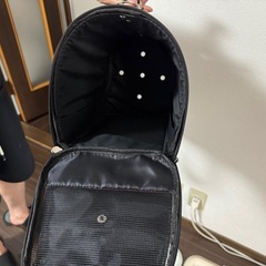 ペット用品の画像